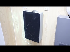 AC220V/AC110V riscaldatore d'acqua a gas di scarico forzato