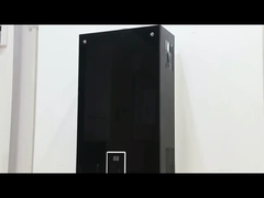 Apparizione del riscaldatore d'acqua a gas di scarico forzato