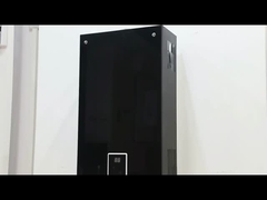 10L 2.6GPM Scaldabagno pannello di rivestimento nero GPL GNL Tipo di gas