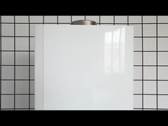 Caldaia a gas da 20 kW 10L GPL NG Scaldabagno a gas istantaneo senza serbatoio