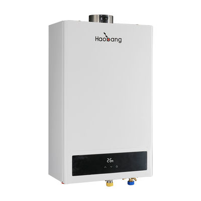 Instantaneous Controller Ignition Balanced Flue Gas Water Heater