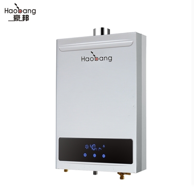 10L Forced Exhaust Gas Water Heater Wall Mounted Stainless Steel