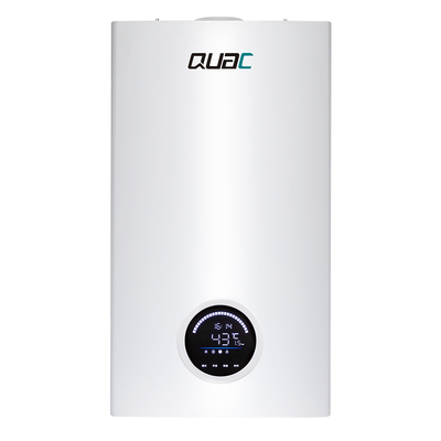 Energy-saving 220V/50Hz Natural Gas Boiler With 2.54m3/h Gas Flow