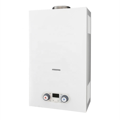 20L Flue Type Tankless Gas Water Heater LPG NG Wall Mounted