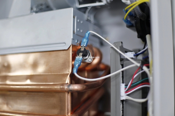 10L Forced Exhaust Gas Water Heater Wall Mounted Stainless Steel