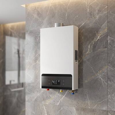 Temperature Range 35-80 Degree Forced Exhaust Gas Water Heater NG Gas Type Body Size 530330143 MM Industrial Heating Solution