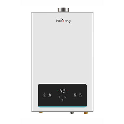 21KW 110V-220V Caldabagno a gas a temperatura costante Bianco 10L