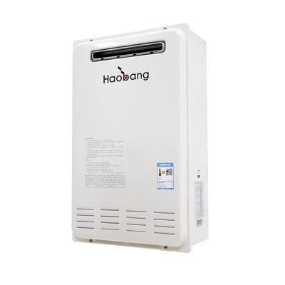 Apparecchio a gas Scaldabagno 110-220V Campeggio RV Uso esterno Bianco