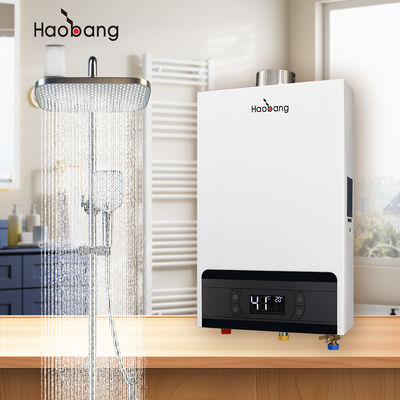 530*330*143 mm Scaldabagno a gas di scarico forzato per il flusso d'acqua 2,64 GPM e facile manutenzione