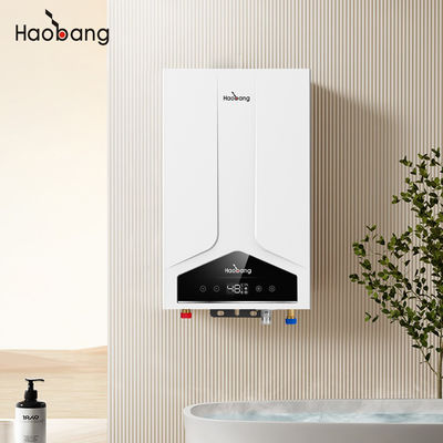 Scaldabagno a gas con riscaldatore d'acqua a combustione bilanciata 110V-220V Voltaggio elettrico No Color opzionale