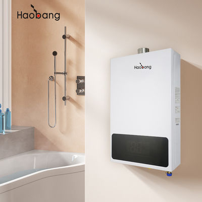 Riscaldatore d'acqua a gas di scarico forzato a risparmio energetico per un'efficienza di scarico forzato e prestazioni ottimali